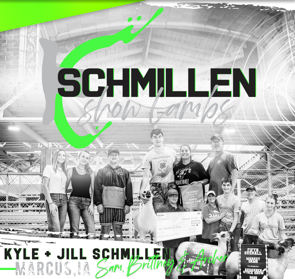 Schmillen Show Lambs